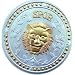 Roman Shield (plastic) - Silver/Gold