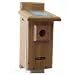 Birds Choice Standard Bluebird House - 1-1/2