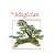 The Magician: The Bonsai Art of Kimura 2 (Bonsai Today Masters Series)