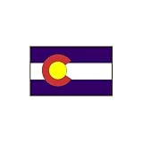 Polyester 4x6ft. State Flags