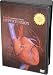   - Cardioconnection: Hypertension