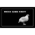 Which Came First?: Flip Book