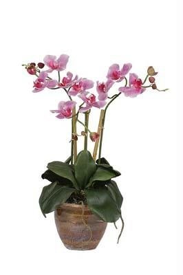 Triple Mini Phalenopsis Silk Orchid Arrangement