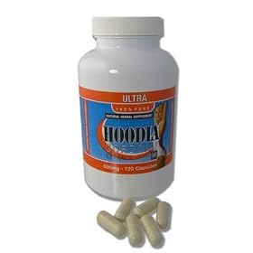 Pure Hoodia Gordonii Extract 500mg - 120 Capsules