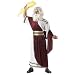 Plus Size Zeus God of the Sky Costume