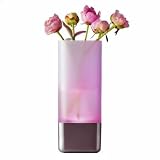 Produkt-Bild: Menu Leuchtvase LED Vase