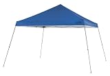 Smart Shade 10- by 10-Foot Canopy