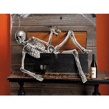 Martha Stewart Crafts Hanging Skeleton