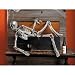 Martha Stewart Crafts Hanging Skeleton