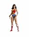 Search : DC Direct Justice League: Classic Icons Series 1 Wonder Woman Action Figure