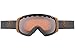 Dragon Alliance Rogue Ski Goggles