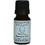 Eucalyptus 100% Pure Essential Oil - 10 ml
