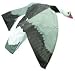 Expedite Duck and Goose Magnet Decoy