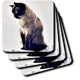 Cats - Siamese Cat - Coasters
