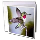 Birds - Hummingbird, Bird - Greeting Cards-6 Greeting Cards with envelopes