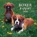   - Boxer Puppies 2008 Mini Wall Calendar - MINI WALL CALENDARS