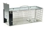 PestBye Rat Cage Trap