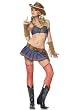 3PC Pin-up Cowgirl Sexy Holiday Party Costume