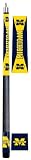Michigan Wolverines Varsity Billiard Cue
