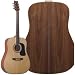 Washburn D10SSW Acoustic Guitar (Walnut)