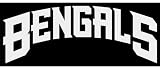 Cincinnati Bengals Car Window DECAL Wall Sticker Text Logo
