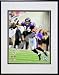 Photo File Baltimore Ravens Todd Heap Framed Photo-Size: One Size