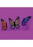 Wings Child Butterfly Orange