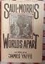 Saul and Morris, worlds apart: A novel
