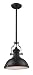 Landmark 66134-1 Chadwick 1-Light 14-Inch Pendant, Oiled Bronze