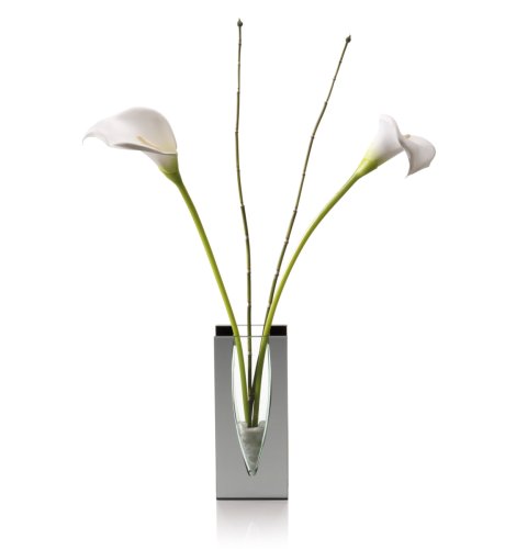 Cala Lilly & Bamboo Stick Vase