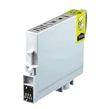 T059920 Compatible Inkjet Cartridge Light Light Black for Epson Stylus Photo R2400 Printer