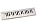 M-Audio E-Keys 37 MIDI Keyboard