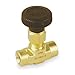 Needle Valve, Straight, Brass, 1/4 In., FNPT
