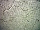 Golden 236ml Crackle Paste