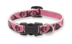 Tickled Pink - Lupine Adjustable Collars Medium 3/4 in. x 12 in. - 20 in.