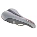 WTB 08 Laser V Team IS Saddle, Ti Rails, Grey