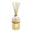 Mango Spa Fragrance Diffuser