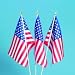 12 US Flags