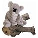 Gund Plush Koala Kaylee