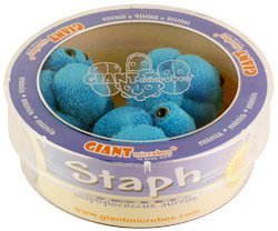 GIANTmicrobes Staph (Staphylococcus aureus) Petri Dish 31o0 gvv2VL GIANTmicrobes Staph (Staphylococcus aureus) Petri Dish