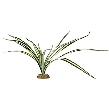 PETCO Silk Albida Background Aquarium Plant