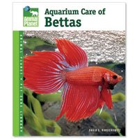 Aquarium Care for Bettas - Animal Planet Pet Care Library by Animal Planet