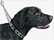 C SPRENGER PINCH COLLAR LG 20"