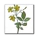 Flowers Carolina Jasmine - 8 Inch Glass Tile