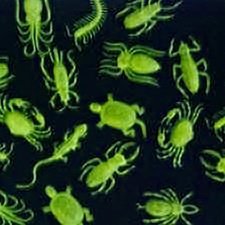 Glow In The Dark Critter Assortment - 144 per unit Glow In The Dark Critter Assortment - 144 per unit