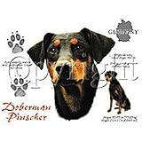 Doberman Pinscher Adult T-Shirt