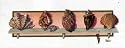 Collection of Shells II - Artist: Susanna Spann - Image Size: 17.77 by 5.65 inches - stretched USA orders only