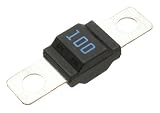 OES Genuine Fuse