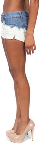 Hippie Laundry Faded Shorts (1)