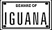 Beware of Iguana 2 1/4 X 4 Embossed Aluminum Sign